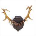 BUCKHORN WALL DCOR